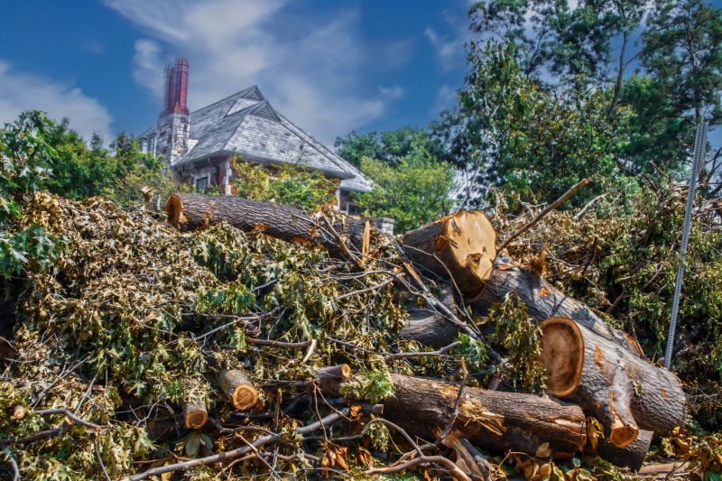 Tree Removal and Debris Disposal
