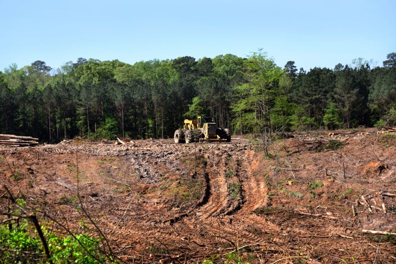 Land Clearing for Construction