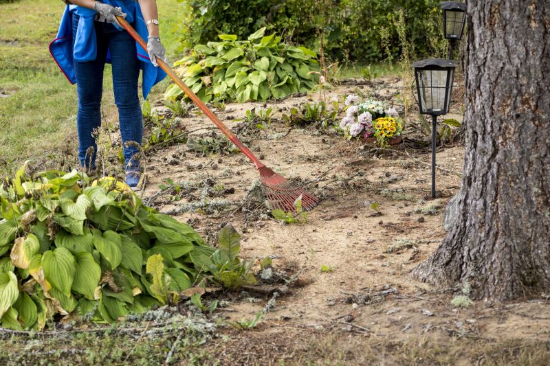 Eco-Conscious Clearing Methods