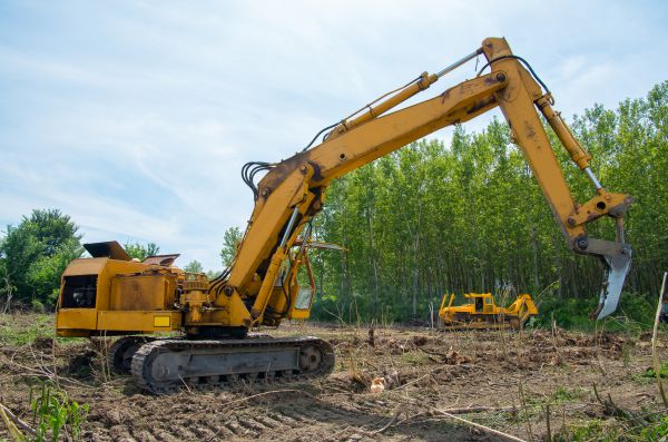 Farm Clearing in Fairhope